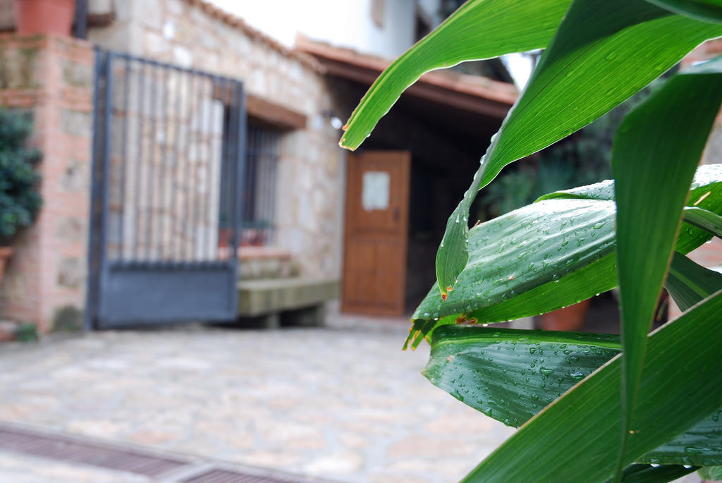 Hostal El Cardenillo Madrigal de la Vera Exterior photo